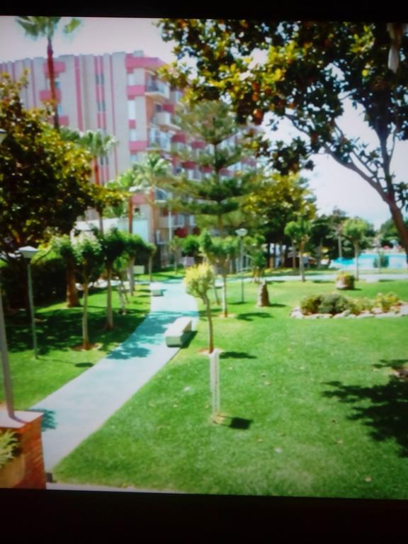 בנאלמדנה Estudio J-60, Terraza & 1º Planta מראה חיצוני תמונה